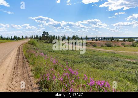 Fireweed flowers growing alongside dirt road with cemetery in the distance, in the Indigenous community of Deline, Northwest Territories, Canada. Stock Photo