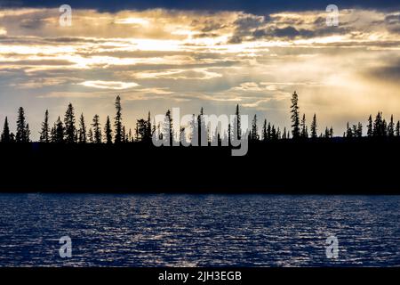 Sun setting behind spruce trees in summer, along Great Bear Lake, Northwest Territories, Canada Stock Photo