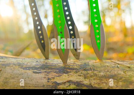 metal knives for throwing in a mans hands on a fir forest background.Outdoor sports.Sports equipment.Throwing knives in a log in a sunny forest. Stock Photo