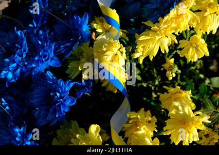 Blue and yellow stripes with colored flowers Ukraine flag, the war in Ukraine concept. Stock Photo