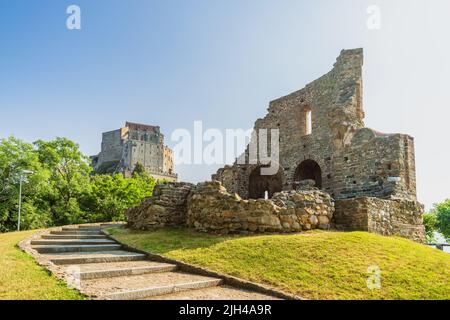 Rosminians hi res stock photography and images Alamy