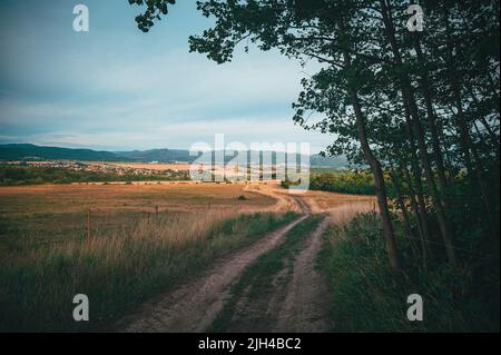 Footpath in summer rural landscape. A dirt road leading to a beautiful village in nature. Summer evening and peaceful atmosphere Stock Photo