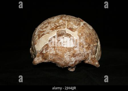 (220715) -- KUNMING, July 15, 2022 (Xinhua) -- Undated photo provided by Mengzi Institute of Cultural Relics shows the skull of Mengzi Ren (MZR) in Mengzi, southwest China's Yunnan Province. Scientists have unveiled a Late Pleistocene human genome from southwest China. Their findings were published online in the journal Current Biology on Thursday night. The scientists conducted the genome sequencing of the 14,000-year-old human remains of the 'Mengzi Ren (MZR),' which were unearthed in 1989 in a cave in Mengzi, Yunnan Province. More than 30 human fossils, as well as fossils of animals such Stock Photo