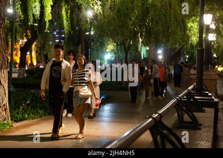 Harbin, China's Heilongjiang Province. 14th Feb, 2025. Gold medalists