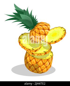 Sliced pineapple, juicy ananas. Harvesting tropical fruits. Cartoon realistic vector isolated on white background Stock Vector