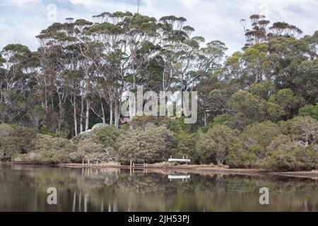 Still morning reflections, tall gum trees and upturned canoe.  Rickets Reserve Denmark, Western Australia Stock Photo