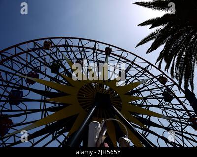 Mickey's Fun Wheel with Palm Tree at Disney California Adventure Park Stock Photo