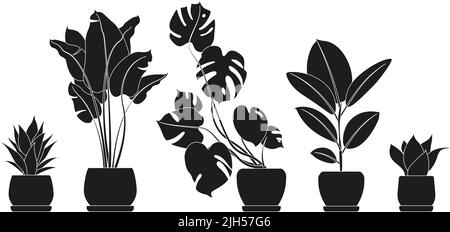 Collection silhouettes of houseplants in black color. Potted plants isolated on white. set green tropical plants. trendy home decor with indoor plants Stock Vector