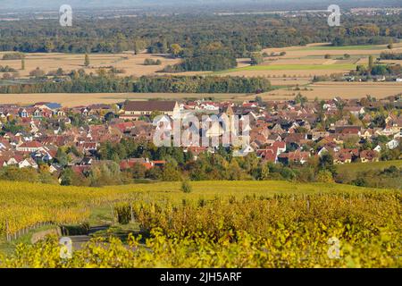 Alsatian village of Eguisheim surrounded by its famous vineyard in autumn, Grand Est, France Stock Photo