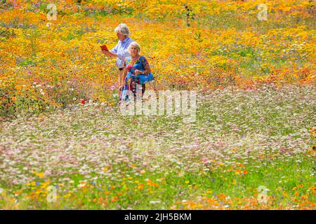 London, UK. 15th July, 2022. People admire the colourful flowers at the Tower of London Superbloom. The moat of the London landmark has been planted with 15 different seed mixes, now filling it with thousands of beautiful wildflowers and creating an organic living artwork in the middle of the capital. Tourists and visitors are able to wander around the moat and Tower, finding some relief from the current heatwave. Credit: Imageplotter/Alamy Live News Stock Photo
