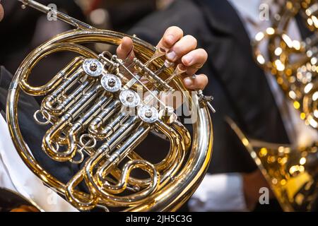 Philharmonic orchestra playing on the french horn, performance concert, classical music concept Stock Photo