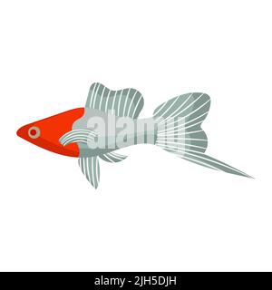 Swordfish fish aquarium water animal nature and vector underwater aquatic art. Tropical illustration fish with tail and fin. Beautiful decorative mult Stock Vector