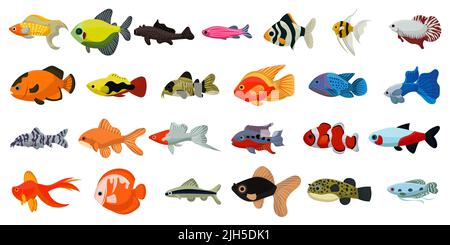 Aquarium tropical fish and cartoon ocean cute collection. Sea coral reef animals and underwater vector illustration. Water colorful marine set fish an Stock Vector