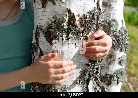 The boy's hands hugging the trunk of a birch with mossy birch bark on a sunny summer day. The concept of love for nature and care for the environment. Stock Photo