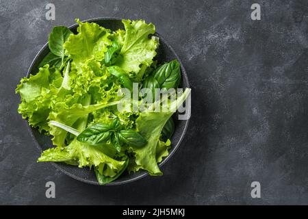 Fresh green salad in a plate of a mixture of green leaves on a dark background. Stock Photo