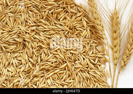 Spikelets of wheat and oats scattered on the table Stock Photo
