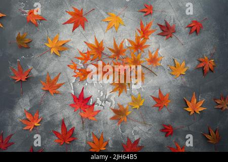 Thanksgiving day concept made of fall maple leaves on dark background. Autumnal season. Flat lay, top view Stock Photo