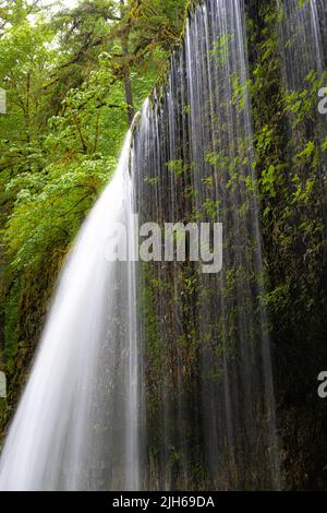 Drake Falls in Silver Falls State Park, Oregon Stock Photo