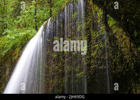 Drake Falls in Silver Falls State Park, Oregon Stock Photo