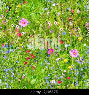 Seamless texture flowers. Large repeating natural background. Stock Photo