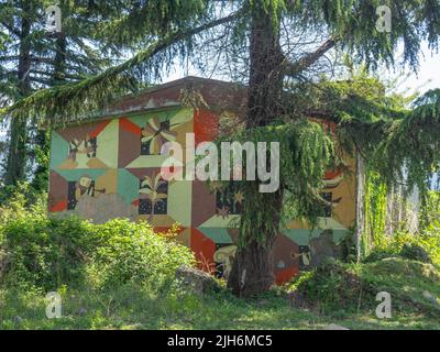 The wall of an old abandoned house, overgrown with plants. Abandoned building. Nature and architecture Stock Photo