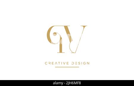 QV, VQ, V or Q Alphabet Letters Logo Icon Design Stock Vector