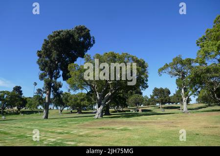 Inglewood, California, USA 13th July 2022 Inglewood Park Cemetery on July 13, 2022 in Inglewood, Los Angeles, California, USA. Photo by Barry King/Alamy Stock Photo Stock Photo