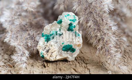 Natural rough green dioptase dioptase gem stone embedded on rock. Natural crystal mineral on wooden background. Unpolished gemstone Stock Photo