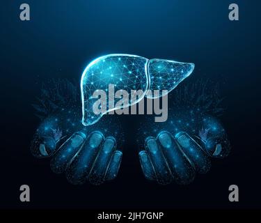 Two human hands are holds human liver. Support healthy liver concept. Wireframe glowing low poly design on dark blue background. Abstract futuristic v Stock Vector