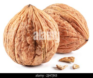 Two whole walnuts isolated on white background. Stock Photo