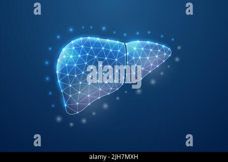 Human liver protection. Wireframe low poly style. Concept for medical ...