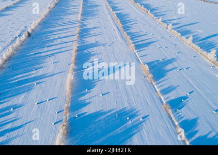 Frozen rural landscape with hay bales during a cold and sunny winter day in Estonia, Northern Europe. Stock Photo