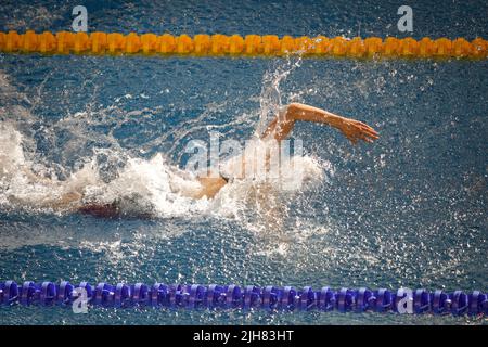 Details with a professional female athlete swimming in an olympic swimming pool. Stock Photo