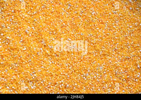 Raw broken dried Corn kernels Stock Photo