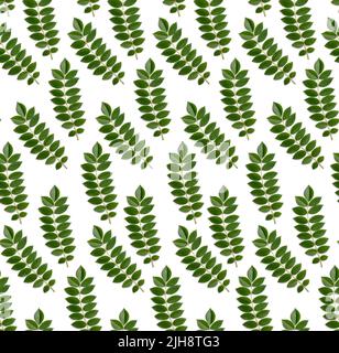 seamless green tropical leaves or foliage pattern on white, abstract, background texture Stock Photo