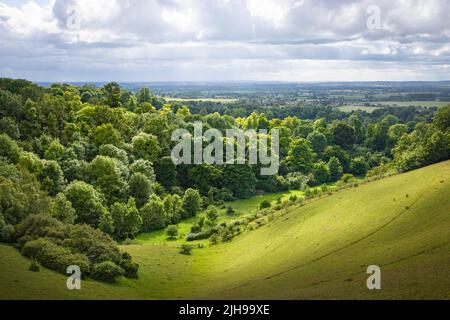 UK countryside landscape. Green rolling hills with trees and meadow. View from Chiltern Hills toward Aylesbury Vale. Buckinghamshire, UK Stock Photo
