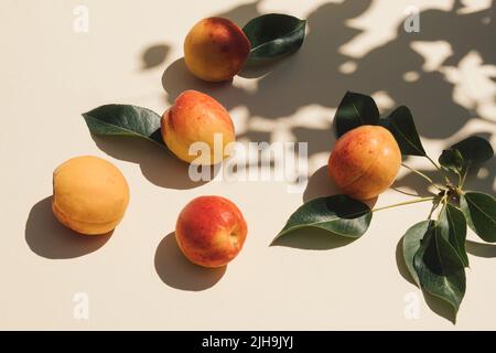 Summer scene with fresh apricot fruit, leaves and tree shadow on beige background. Minimal aesthetic. Close-up composition. Stock Photo
