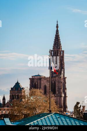 Roofs of the city of Strasbourg. Library building. St Paul's Cathedral. View overlooking the town. Stock Photo