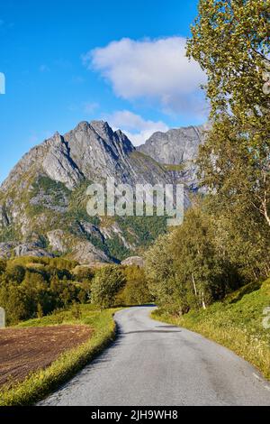 A curvy road near a mountain and green plants outdoors with a cloudy blue sky background. Beautiful landscape of a tarred roadway surrounded by nature Stock Photo