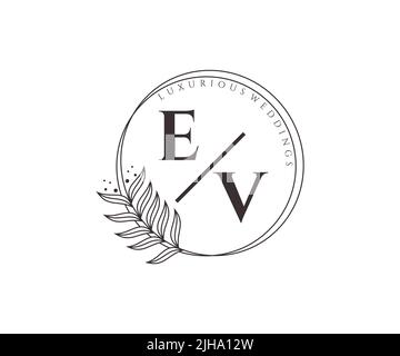 EV Initials letter Wedding monogram logos template, hand drawn modern minimalistic and floral templates for Invitation cards, Save the Date, elegant Stock Vector