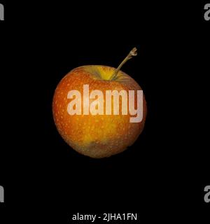 A red apple isolated on a black background in professional studio photography. A juicy fresh red apple on a black backdrop. An angled view of a dotted Stock Photo