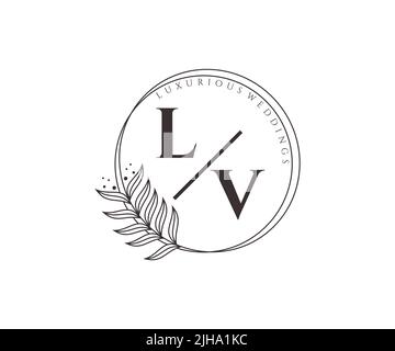 LV Initials letter Wedding monogram logos template, hand drawn modern minimalistic and floral templates for Invitation cards, Save the Date, elegant Stock Vector