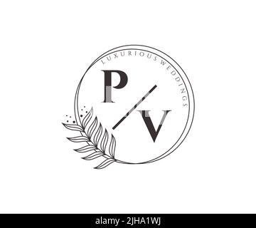PV Initials letter Wedding monogram logos template, hand drawn modern minimalistic and floral templates for Invitation cards, Save the Date, elegant Stock Vector