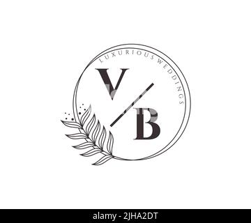 VB Initials letter Wedding monogram logos template, hand drawn modern minimalistic and floral templates for Invitation cards, Save the Date, elegant Stock Vector