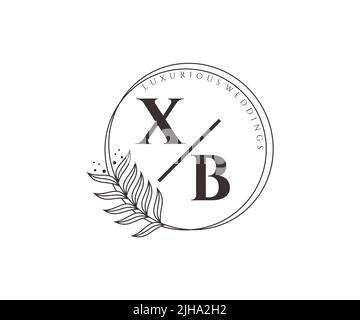 XB Initials letter Wedding monogram logos template, hand drawn modern minimalistic and floral templates for Invitation cards, Save the Date, elegant Stock Vector