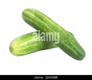 Two fresh cucumbers isolated on white background Stock Photo