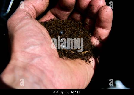 Hand with a simulated diamond pretending to have been found on earth Stock Photo