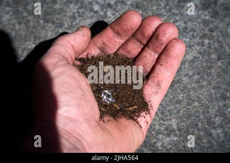 Hand with a simulated diamond pretending to have been found on earth Stock Photo