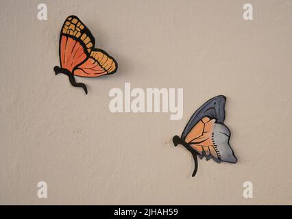 Butterflies of various shapes and sizes exhibited in an exhibition in Italy. Stock Photo