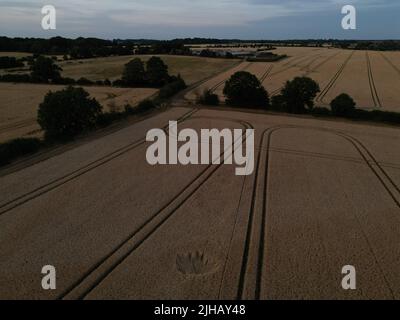 Mowing-Devil Crop formation. Northamptonshire. England. UK Stock Photo